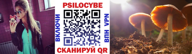 Псилоцибиновые грибы GOLDEN TEACHER  блэк спрут вход  Первоуральск 