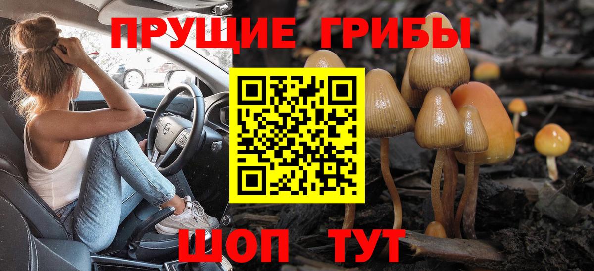 Первоуральск  Псилоцибиновые грибы MAGIC MUSHROOMS  Вход с VPN 